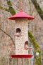 Classic Bird Feeder |   Garden and Balcony Bird Feeding Apparatus |   Decorative Outdoor Bird Feeder - 4