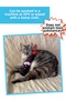 Meowine Catnip Plush Cat Toy, Kicker Toy for Cats - 4