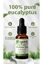 100% Pure Eucalyptus Oil 10 ml Cold Pressed - Natural & Unadulterated Aromatherapy Oil - 2