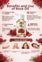 Rose Oil 20 ml Care Oil - 2