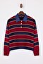 Çok Renkli Çizgili Denim Garnili Polo Yaka Triko Kazak TWOAW26KZ00283 - 5