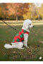 Cat - Dog Winter Plush Inflatable Vest - Coat - Clothing - Sweat - 5