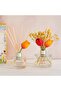 Cocodor English Pearfree Tulip Reed Diffuser Oil 200Ml With Tulip Sticks - 3