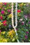 White Shell Misbaha Tasbih Prayer Beads 10mm - 4