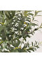 Artificial Olive Tree 155cm - Fake Plant with Moss & Pot - 5