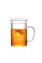 Linanware Glass Mug with Lid Brewing Strainer Heat Resistant Borosilicate Glass Cup 350ml Dsg-25