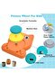 Pottery Wheel for Kids – Complete Pottery Kit & Tools for Beginners - 2