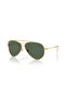 RB 0101S 001/VR 59 نظارات شمسية للجنسين