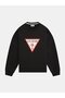 Men's Sweatshirt - 5