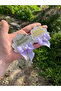 Lilac Bow Oyster Model Gift Baby Magnet (10 Pieces) - 3