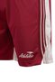 Relax-Fit Men's Burgundy Shorts - 8