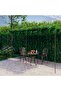 Garden Pergola Antique Brown 6x3x2.5 m Iron