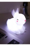 Cute Bunny LED Night Light for Kids, Soft Glow Bedside Lamp, Mini 12cm Nursery Sleep Light - 2