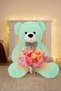 Pink and White Butterfly Bouquet with Led Lights – 25 Butterflies & 90 cm Large Plush Bear |   Oze for Valentine's Day