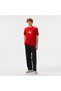 Men's Regular Fit Cotton Ck Logo Round Neck Short Sleeve Red T-Shirt J30J327471-Xni - 6