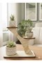 Wooden Decorative 3-Piece Cobalt in Stand Desktop Modern Mini Flower Pot Succulent Air Plant Stand