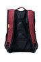 Multi-Compartment Ergonomic Backpack Water Repellent Unisex School, Daily and Travel Bag Red - 2
