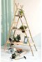 Natural Bamboo Pole / Stake - 3