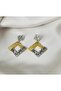 Steel Two-Tone Vip Earrings - 2