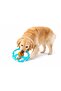 17 cm Durable Dog Frisbee – Fetch Toy for Large Breeds, Squeaky and Teeth-Friendly