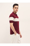 Men’s Short Sleeve Polo T-Shirt, Soft Fabric, Comfortable Fit & Classic Style - 2