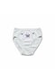 Girl's 100% Cotton Embroidered Bato Panties (Pack of 2)