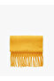 Soft Textured Tasseled Long Scarf - 2