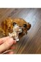 Transparent Dog Hair Storage Capsule Gashapon Dog Figured Souvenir Keychain Dog Keychain