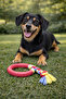 Dog Teether Durable Chewing and Biting Toy Rubber with Rope - 6