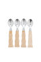 Dessert Spoons Set of 4 with Resin Handles