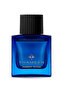 Treasure Collection Amber Room For Unisex Extrait De Parfum 100ml - 2