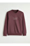 سويت شيرت رجالي مطبوع عليه I Zero Roba Collar من Freezen Store - 6