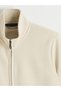 Regular-Fit, Mock Neck Men’s Zip-Up Sweatshirt for Style-Conscious Shoppers from UZG STORE - 7