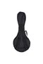 KMA-002-BS Mandolin - 8