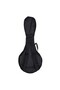 KMA-002-RDS Mandolin - 8