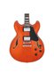 AS73-TTF Elektro Gitar - 3