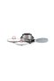 Click And Cook - 2