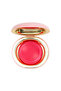 Future Touchmelt Cream Blush