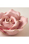 Decorative Ceramic Flower Accent - 13x5 cms - 3