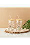 Flora 2-Piece Glass Sipper with Straw Set - 530 ml