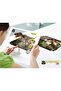 Dinosaur Wooden Puzzle with Augmented reality App Technology - 4