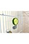 Fruit/Vegetable Feeder for Budgies and Birds of Various Sizes - 5