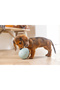 Puppy Toy, Treat and Play, Egg, Rubber, Turquoise, 6X6X8Cm - 2