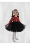 Girl's Red Sequin Tutu Dress, Girl's Birthday Dress, Girl's Holiday Dress