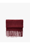 Soft Textured Tasseled Long Scarf - 2