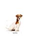 Mini 8 Small Breed Elderly Dog Food 2kg - 4