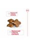 Mini 8 Small Breed Elderly Dog Food 2kg - 3
