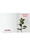 Off-White Satin Sunshade - Ironable - Dryable - Washable - A++ Quality! - 6
