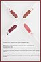Latina Nourishing & Long-Lasting Shine Liquid Lipstick |   05 Positive - 3