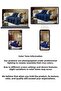 Cotton Premium Multi-Purpose Mats Sofa Cover Soft-Textured Fringed 170X200 cm - 5